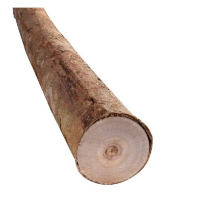 Escoras De Eucaliptos C/ 3 metros Demaco